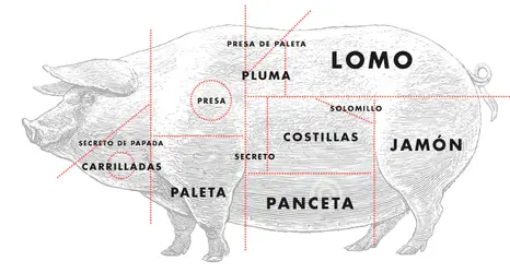 Partes cerdo